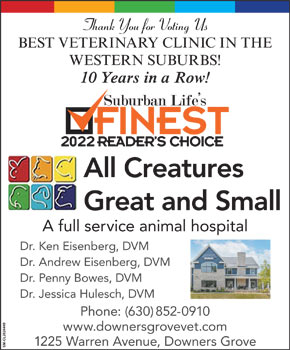 Downers Grove Veterinarian | Vet Downers Grove | Downers Grove Vet Clinic